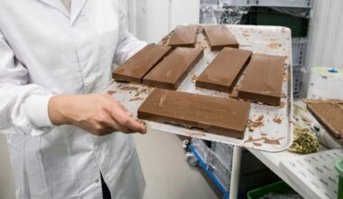 Symbolbild: Eine Frau hält ein Tablett mit Schokoladen-Riegeln in einer Fabrik in den Händen. (Quelle: dpa/Westend)