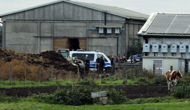 Darum vergrub der Täter die Leiche nicht