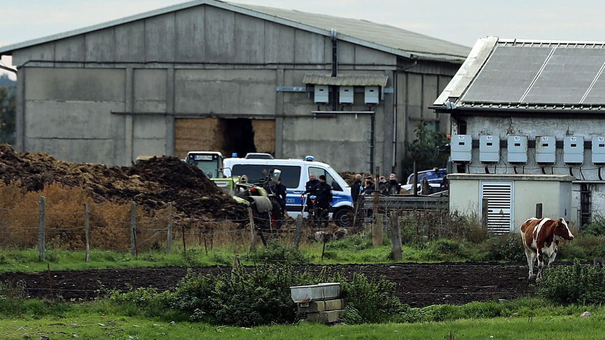 Darum vergrub der Täter die Leiche nicht