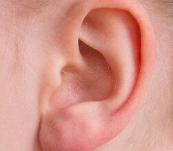 Ohr: Ursache für auditive Halluzinationen geklärt (Foto: pixabay.com, Anemone123)