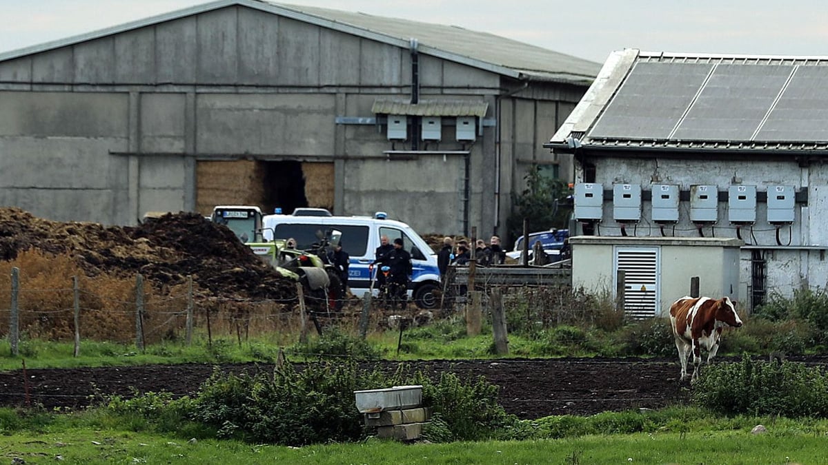 Darum vergrub der Täter die Leiche nicht