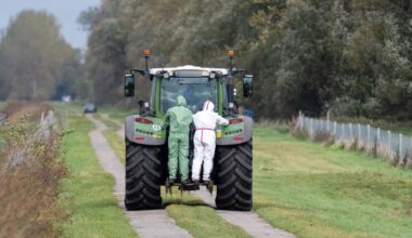 Vogelgrippe breitet sich in Brandenburg aus und erreicht Berlin
