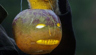 Vorschau: Halloween - Mythos der Kelten • Frankreich/Irland 2025