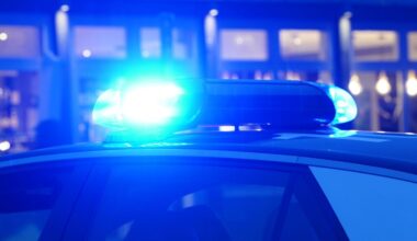 Entlaufenes Tier: Hängebauchschwein "Peppa" stoppt Verkehr in Bremen