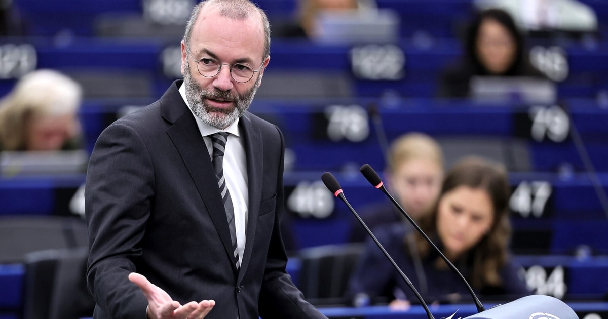 EVP-Chef im Interview: - „Putins Freunde in Europa sind ein Risiko“