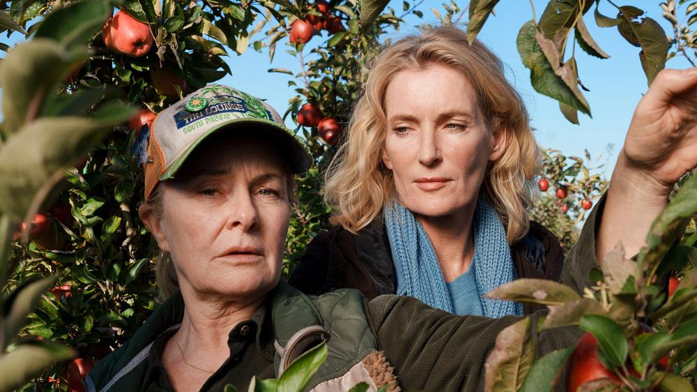 "Tatort" Hannover: Kommissarin Charlotte Lindholm (Maria Furtwängler, rechts) investigativ bei der Apfelernte mit Marlies Feldhusen (Lina Wendel)