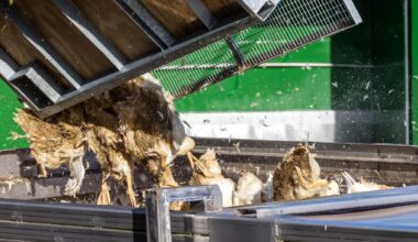 Vogelgrippe in Brandenburg: Geflügelpest zwingt zur Tötung von 130.000 Tieren