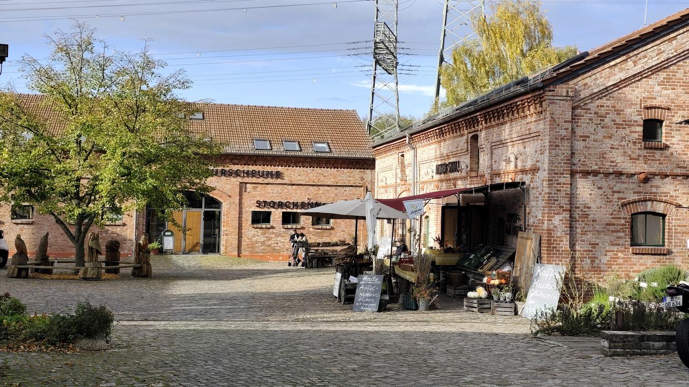 Ungewöhnliches Biotop in Berlin-Lichtenberg
Auf diesem alten Stasi-Gelände gedeihen Schafe, Fledermäuse und Molche