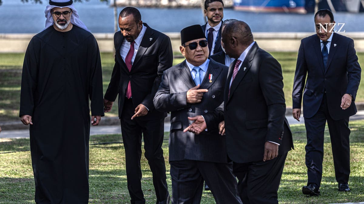 Brics-Staaten, die G-7 und der Dollar