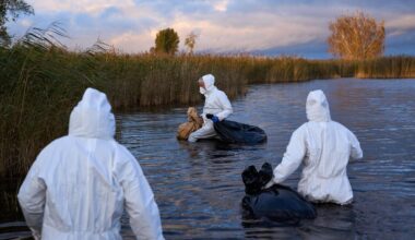 Vogelgrippe: Virologe warnt angesichts der Vogelgrippe vor neuer Pandemie
