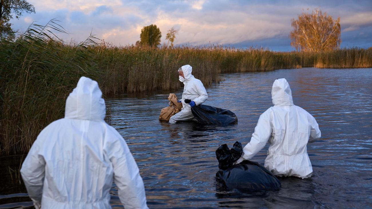 Vogelgrippe: Virologe warnt angesichts der Vogelgrippe vor neuer Pandemie