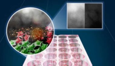 Durchbruch in Krebstherapie – LED-Licht vernichtet Krebszellen ohne Chemo