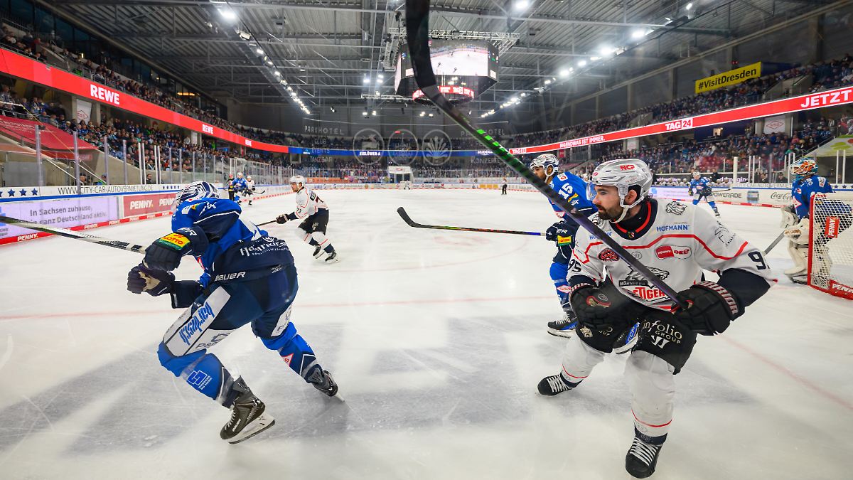 Die Eislöwen jaulen nur noch: Schwächstes DEL-Team jemals? In Dresden kippt die Stimmung