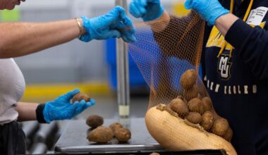 USA: US-Richter ordnen Fortsetzung von Lebensmittelhilfen trotz Shutdown an