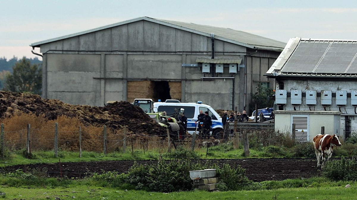 Darum vergrub der Täter die Leiche nicht