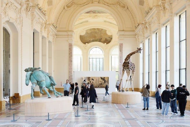 Rund um die Art Basel: Installationsansicht von «The Elephant in the Room» (2023) von Julius von Bismarck im Petit Palais in Paris.