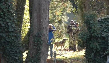 Spürhunde sind auf dem Gelände untwergs. Foto: Ivo Böhme/dpa