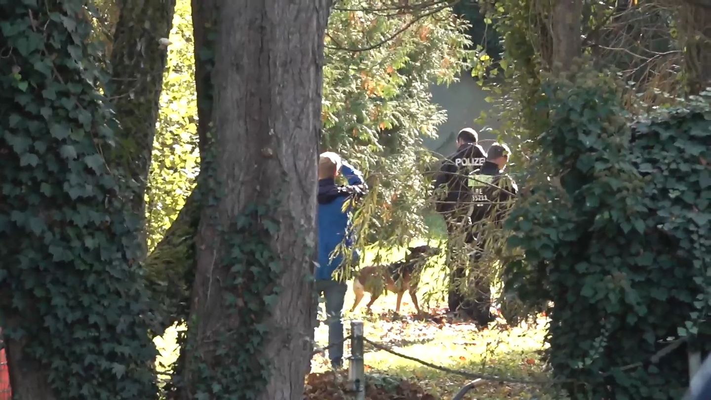Spürhunde sind auf dem Gelände untwergs. Foto: Ivo Böhme/dpa