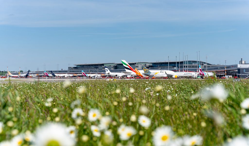 Grün nur am Boden – am Himmel bleibt heiße Luft