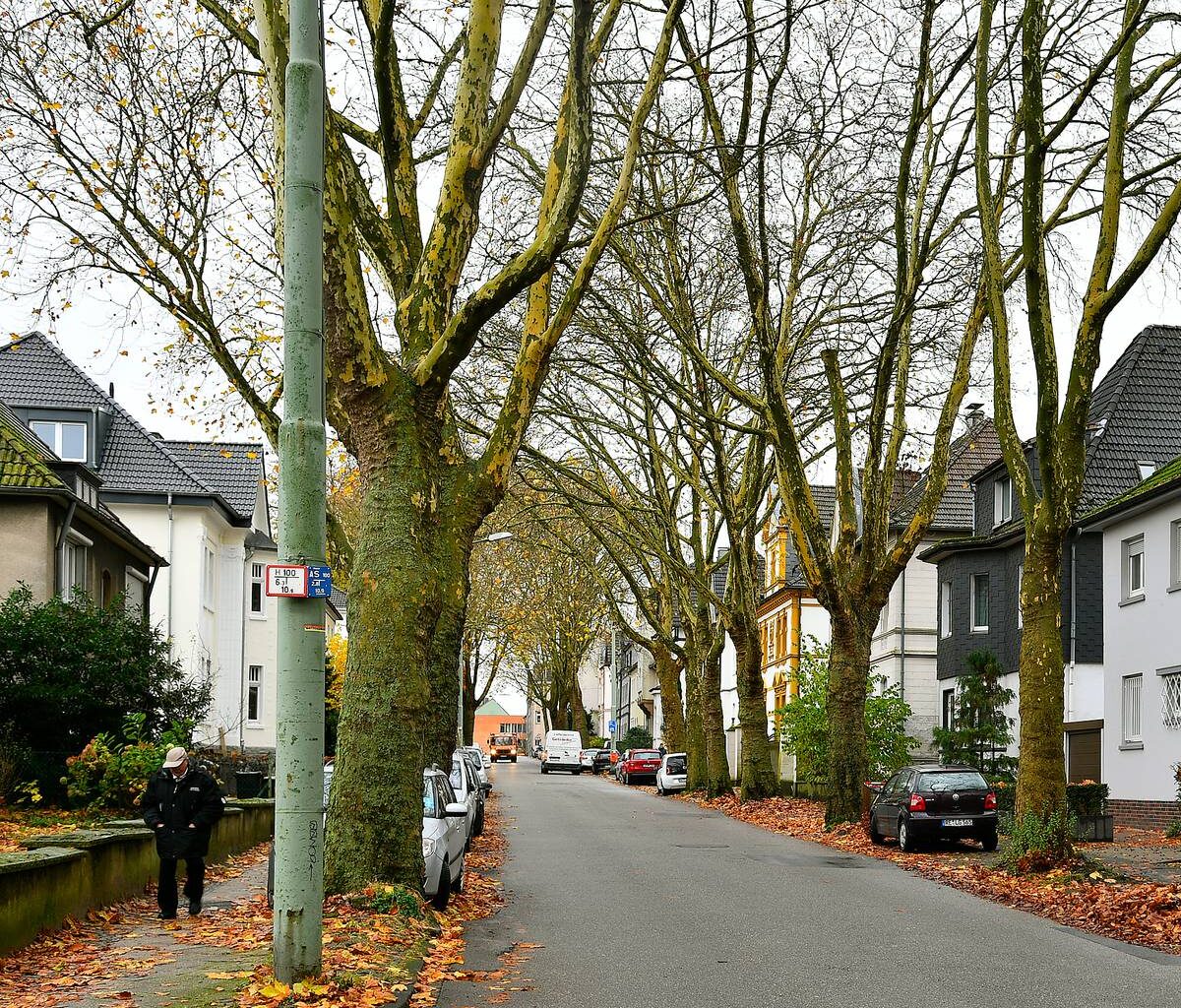 Neugestaltung der Graf-Adolf-Straße in Bochum beginnt