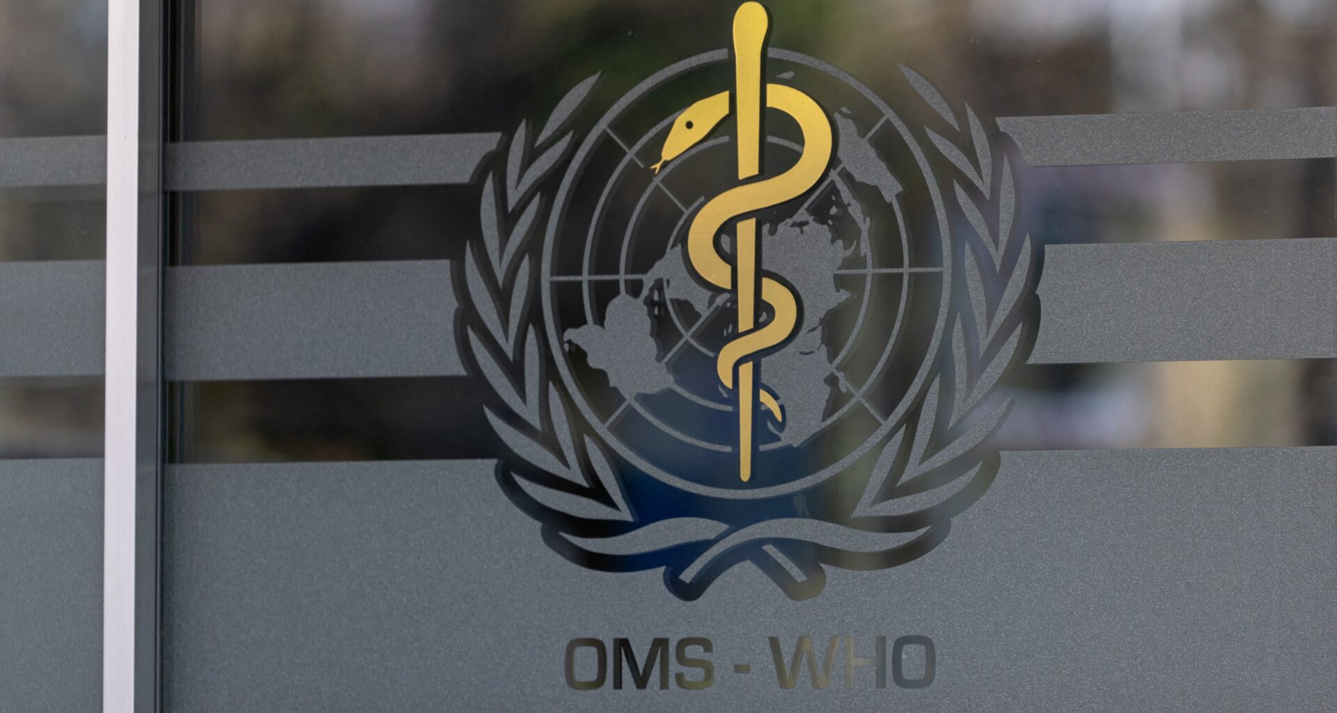 WHO: Ebola-Ausbruch in der Demokratischen Republik Kongo zeigt Anzeichen der Eindämmung - Keine neuen Fälle gemeldet