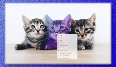 Windows: Insider-Vorschauen verbauen Einrichtung mit lokalem Konto