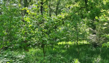 Gemeinsames Müll sammeln am Dönberg