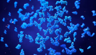 3D-animierte Darstellung von Proteinen (blau eingefärbt).