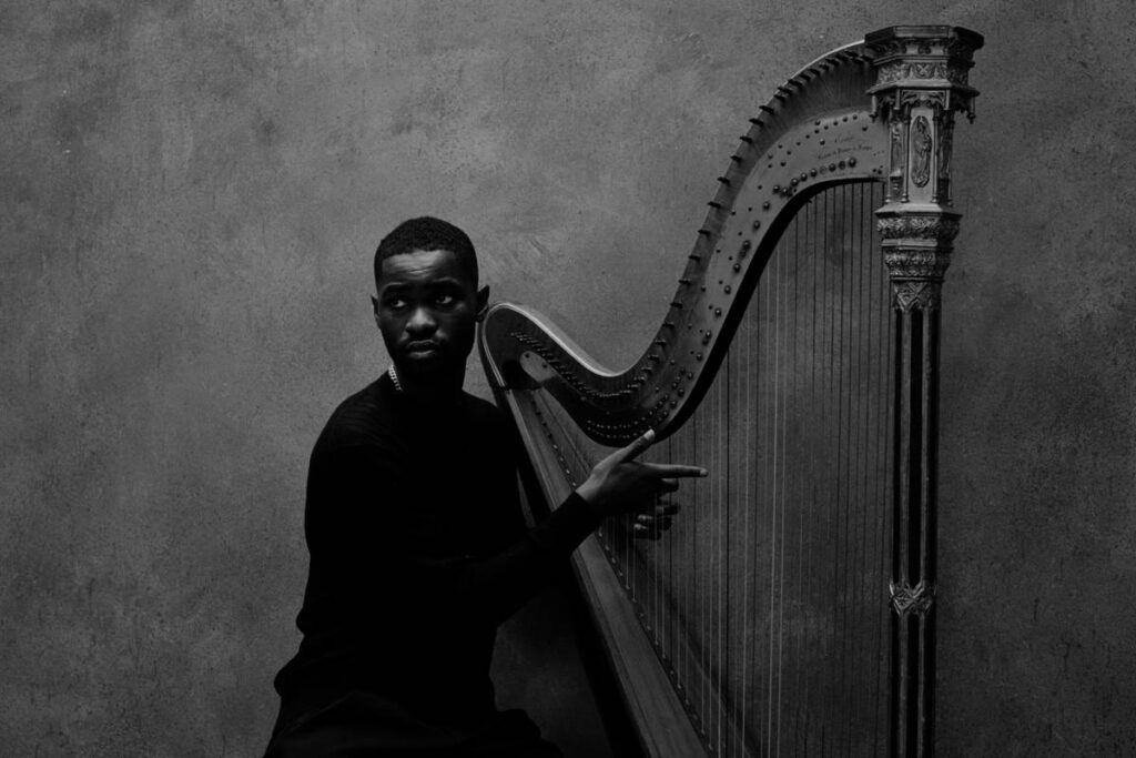 dave uk tour the boy who played the harp