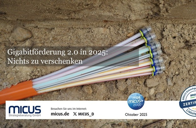 Glasfaserförderung 2025: Überzeichnung im Süden, Milliardenbedarf bleibt