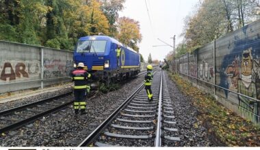 FW-M: Regionalzug kollidiert mit Baum (Giesing)