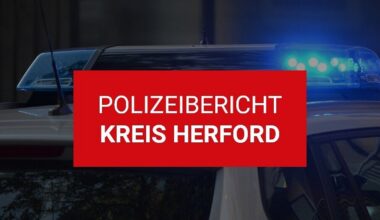 Bielefelder weicht Reh aus - Auto prallt gegen Baum