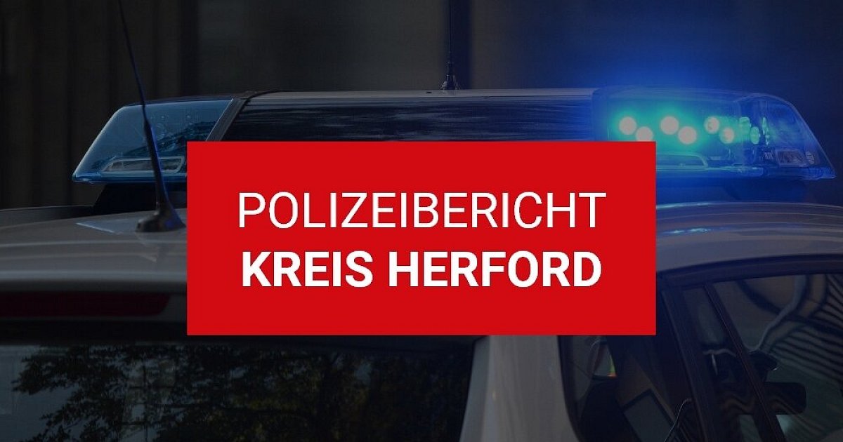 Bielefelder weicht Reh aus - Auto prallt gegen Baum