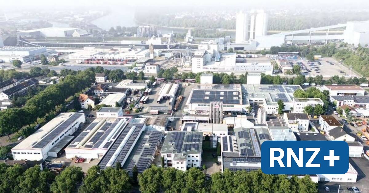 Mannheim: Familienunternehmen Gehr macht den Stoff für die Stifte - Wirtschaft Regional