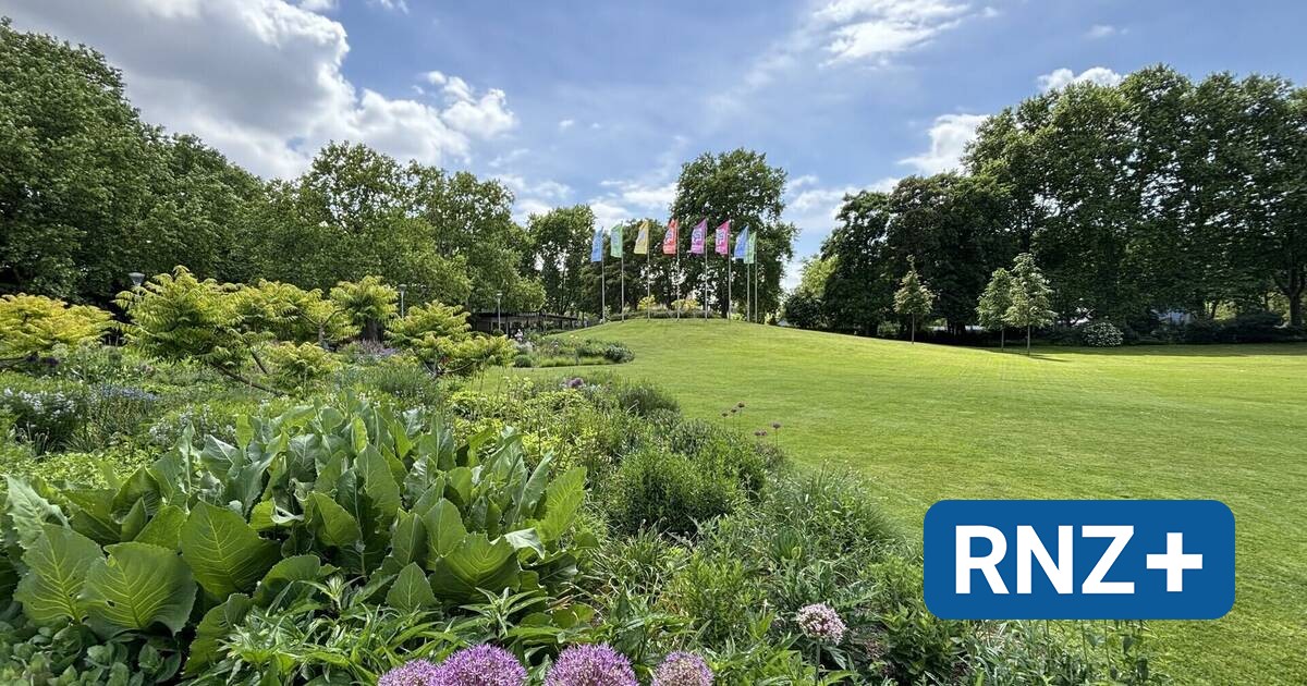 Mannheim: Luisenpark erhöht Eintrittspreise - Mannheim und Metropolregion Rhein-Neckar - Nachrichten und Aktuelles