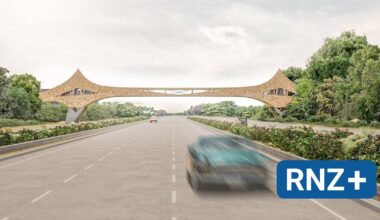 Mannheim: Bau der Taylor-Brücke auf unbestimmt Zeit verschoben - Mannheim und Metropolregion Rhein-Neckar - Nachrichten und Aktuelles