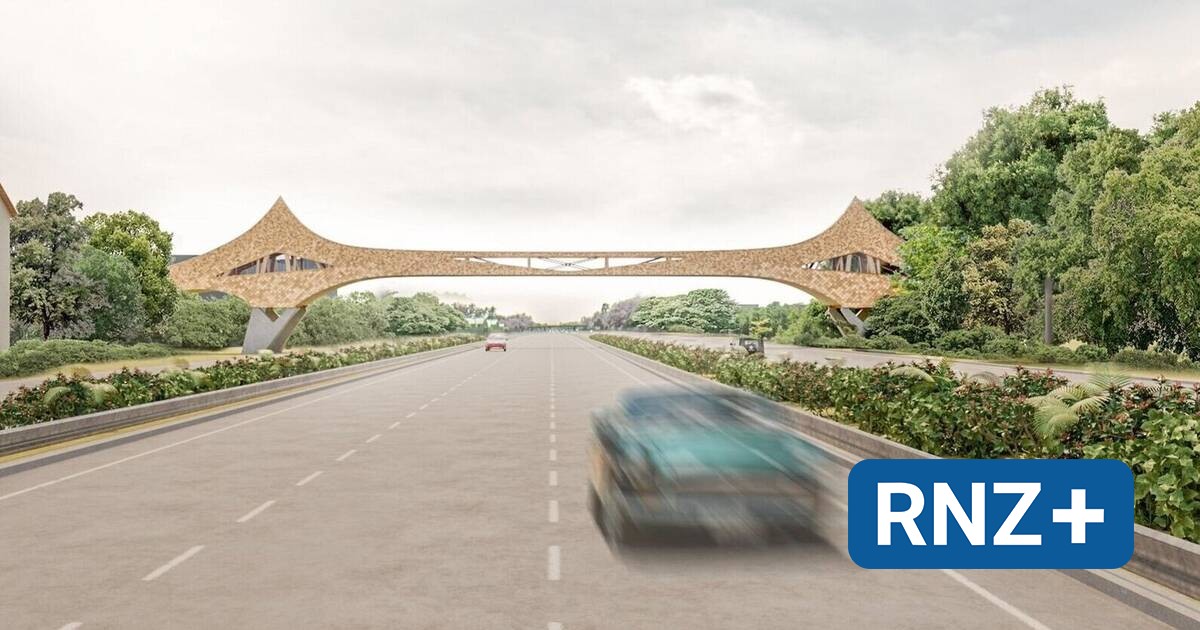 Mannheim: Bau der Taylor-Brücke auf unbestimmt Zeit verschoben - Mannheim und Metropolregion Rhein-Neckar - Nachrichten und Aktuelles