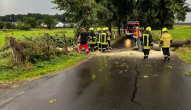 Bonn und Rhein-Sieg-Kreis: Sturmbedingte Feuerwehreinsätze fast überall