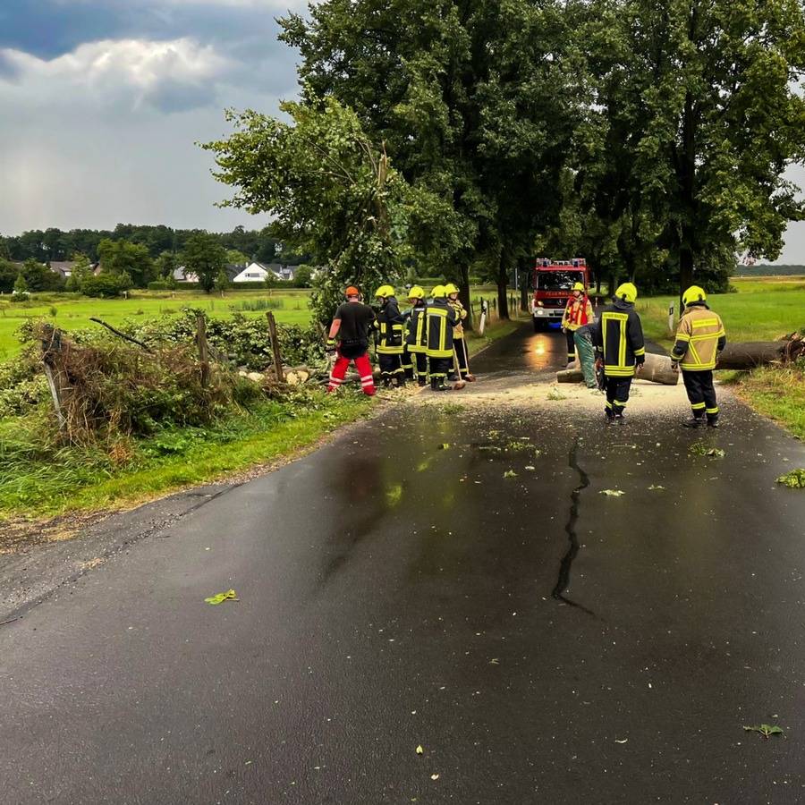 Bonn und Rhein-Sieg-Kreis: Sturmbedingte Feuerwehreinsätze fast überall