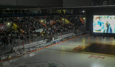 So hat den Mannheimer Eishockey-Fans der Friedrichspark-Film gefallen