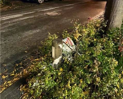 Einsatz Schloßhofstraße - Umweltsünder gesucht