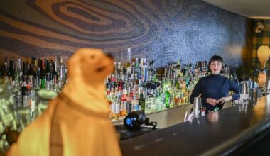 «Bar des Jahres» ist wieder in Berlin zu finden | NRW