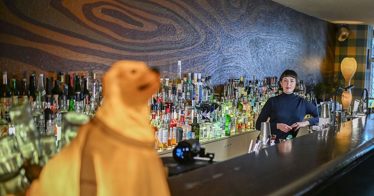 «Bar des Jahres» ist wieder in Berlin zu finden | NRW