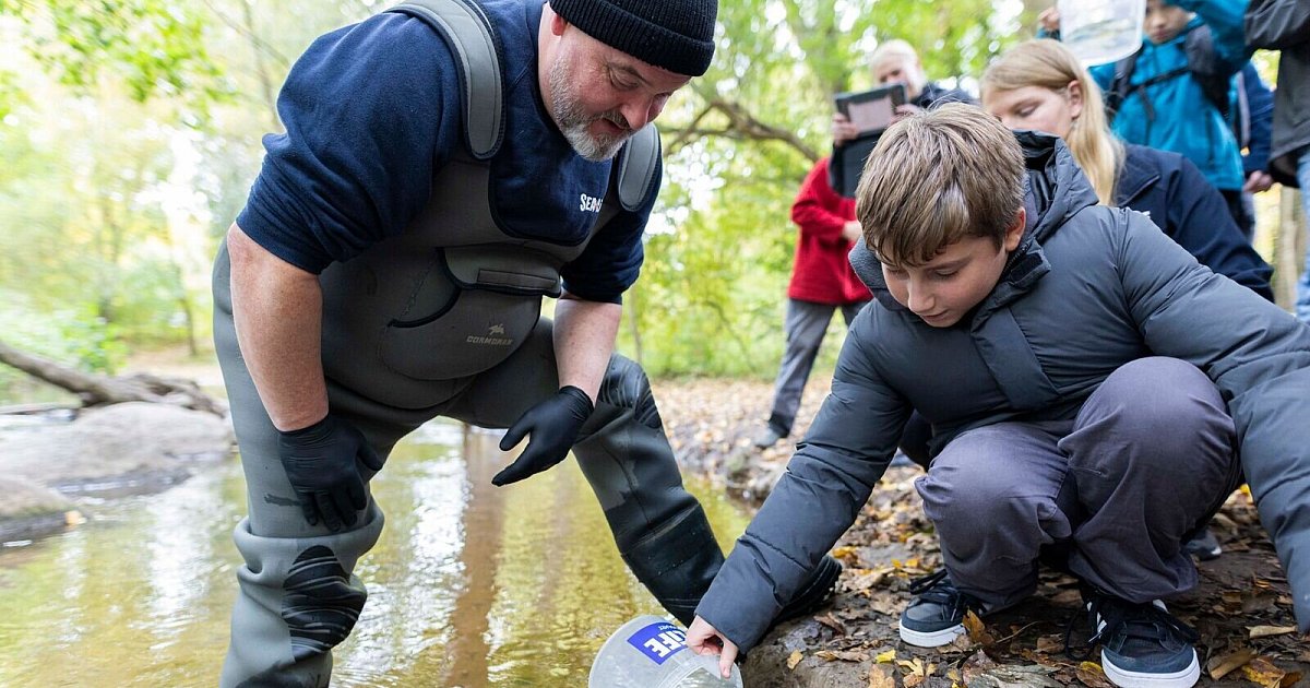 Schüler setzen 3.000 junge Lachse in Hannover aus | Niedersachsen