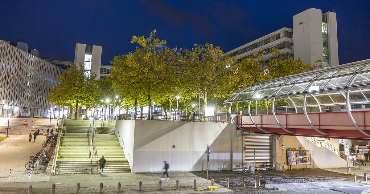 Diese Professorinnen und Professoren sind neu an der Uni Bielefeld