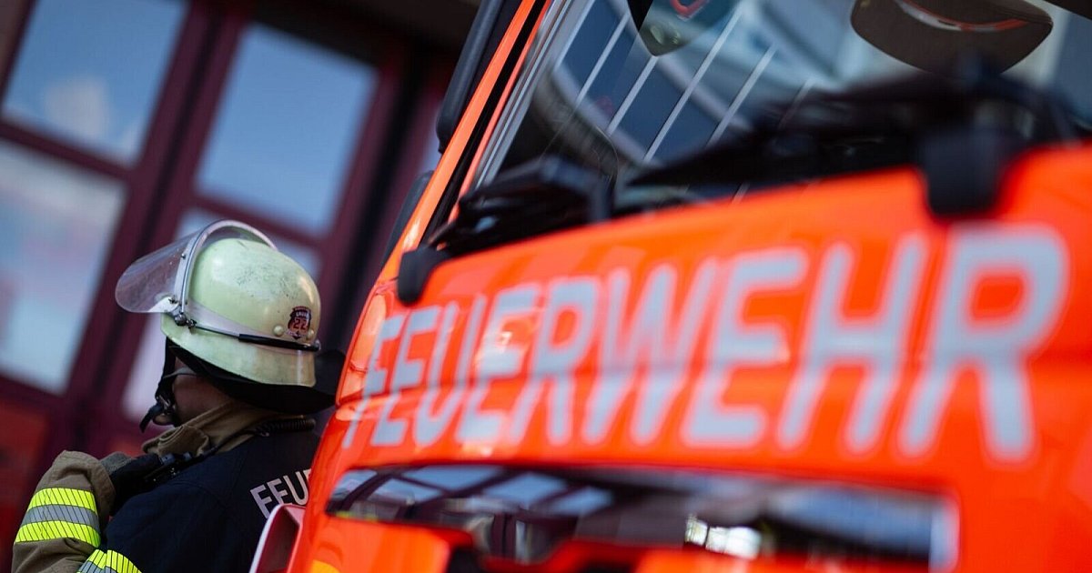 Nach Feueralarm: Towers Hamburg verlieren auch gegen Bonn | Basketball