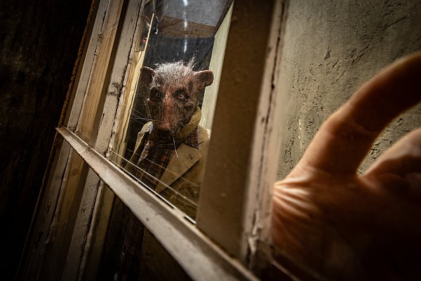 Das Haus der Albträume in Heepen ist in diesem Jahr nicht dabei und legt eine Gruselpause ein. - © Mike-Dennis Müller