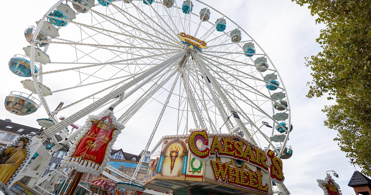 Pollhans, Herbstlibori und mehr: Das ist am Sonntag in OWL los