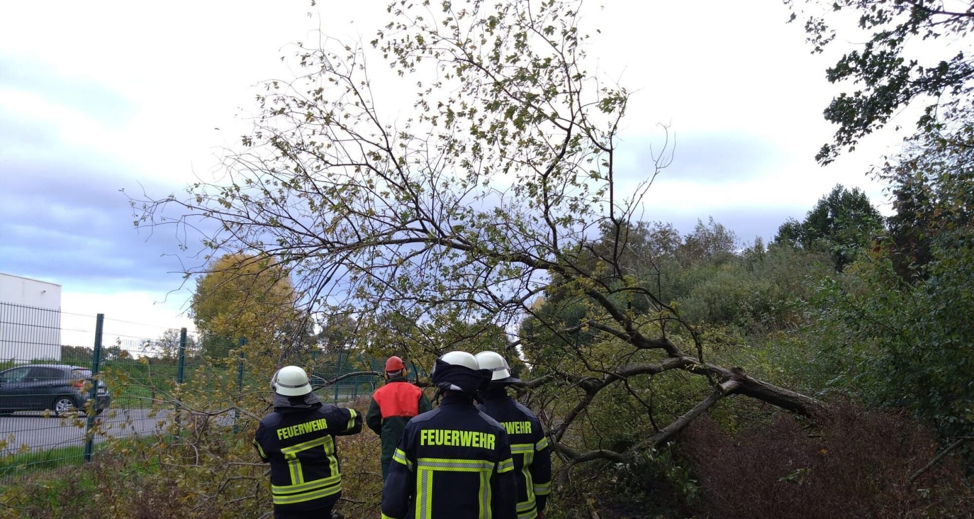 Baum auf Gleise in Steinhagen gestürzt - Feuerwehr beseitigt Hindernis | Haller Kreisblatt