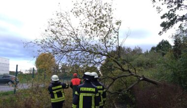 Baum auf Gleise in Steinhagen gestürzt - Feuerwehr beseitigt Hindernis | Haller Kreisblatt